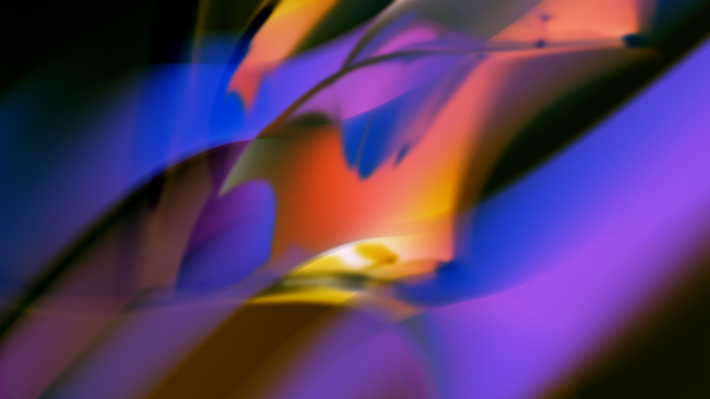 VIVID VIBES - LED Visuals