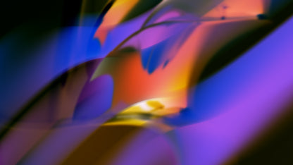 VIVID VIBES - LED Visuals